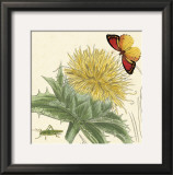 Star Thistle Posters by Louis Van Houtte