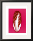 Radicchio, 2001 Posters by Kit 