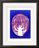 Red Cabbage, c.2001 Art by Kit 