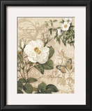 Gardener's Gift II Art by Ching Han