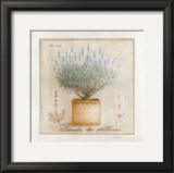Lavande des Collines Prints by Vincent Perriol