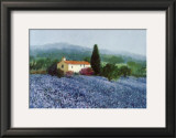 Flax Field, Provence Prints by Hazel Barker