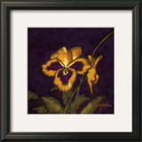 Winter Song II Prints by Robert Ichter