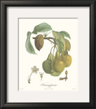 Pears, Frangipane Poster by Francois Langlois