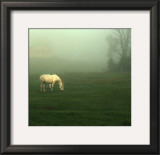 White Horses Field II Prints by Rick Schimidt