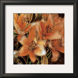 Apricot Dreams I Posters by Lane Ashfield