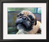 Walrus Pug Poster by Robert Mcclintock