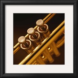 Trumpet II Prints by Steve Cole