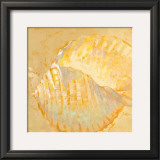 Shoreline Shells IV Art by Lorraine Vail