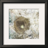 Nest Egg Prints by Susan Friedman