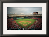 Dolphins Stadium, Miami Prints by Ira Rosen