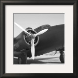 Vintage Flight IV Posters por Janet Van Arsdale