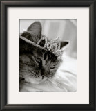 Cat's Queen Posters por Stacey Green