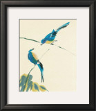 Birds Posters by Aurore De La Morinerie