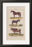 Cheval Art