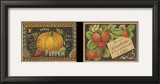 Berry Pumpkin Duet Posters