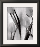 Tulips on Ice Print by Ryuijie 