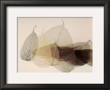 Chablis Prints by Durwood Zedd