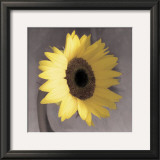 Sunflower Posters by Erin Clark