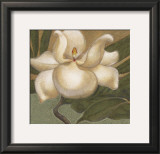 Spring Magnolia I Art by Cooper 