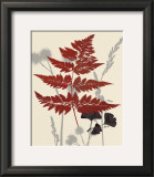 October Fern I Print by Bella Dos Santos