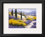 Douce France I Prints by N. Fiore