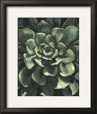 Lunar Succulent I Art by Megan Meagher