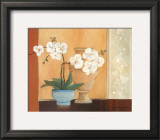 Weibe Orchideen II Prints by Juliane Jahn
