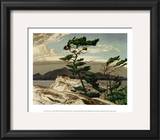 White Pine Prints by A. J. Casson