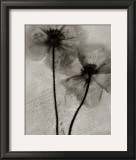 Facing the Sun Prints by Ryuijie 