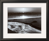 Birds on a Beach Prints by Ansel Adams