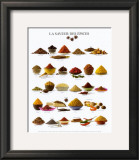 Spices Prints