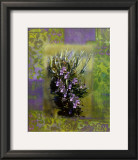 Fines Herbes II Prints by Giancarlo Riboli