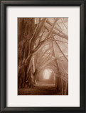 Enchanted Path Posters by Paul Kozal