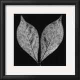 Simplicity Art by Trefor Ball