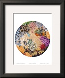 Tidepool II with Turtle Posters by Mark Mackay
