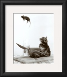 Gato e Rato Posters Gato e Rato Posters
