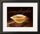 Shells Poster