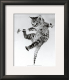 Kitten on a Clothes Line Print by Erik Parbst