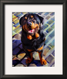 Handsome Rottie Posters by Robert Mcclintock