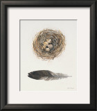 Field Study Nest Prints by Jurgen Gottschlag
