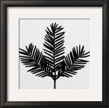 Simplicity Prints by Trefor Ball