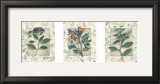 Healing Herbs, Panel I Prints by Julie Nightingale