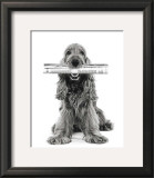 Dog News Art by Jean-Michel Labat