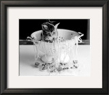 Kitten in Spaghetti Posters Kitten in Spaghetti Posters