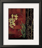 Green Orchid Prints by Jill Deveraux