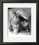 Hide and seek Print by Vikki Hart