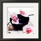 Orchid in a Bowl Posters by Stephane De Bourgies