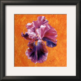Un Amour d'Iris Prints by Anne Frémin Besombes