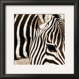 Zebra Pattern Prints by Frank & Susann Parker
